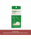 Acropass Trouble Cure Microcone Spot Patch